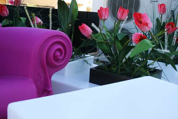 Terrazza Solarium