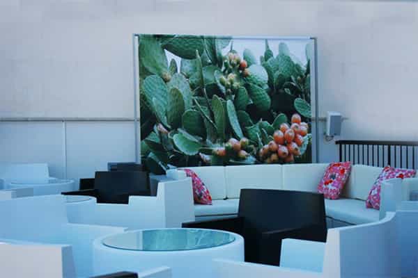 Terrazza Solarium